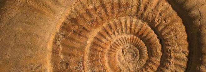 Trabajo Fin de Grado en Geología