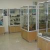 Museo Paleontológico 1